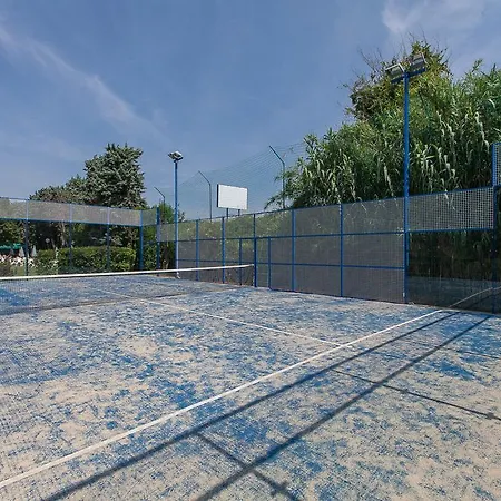 Sportive *